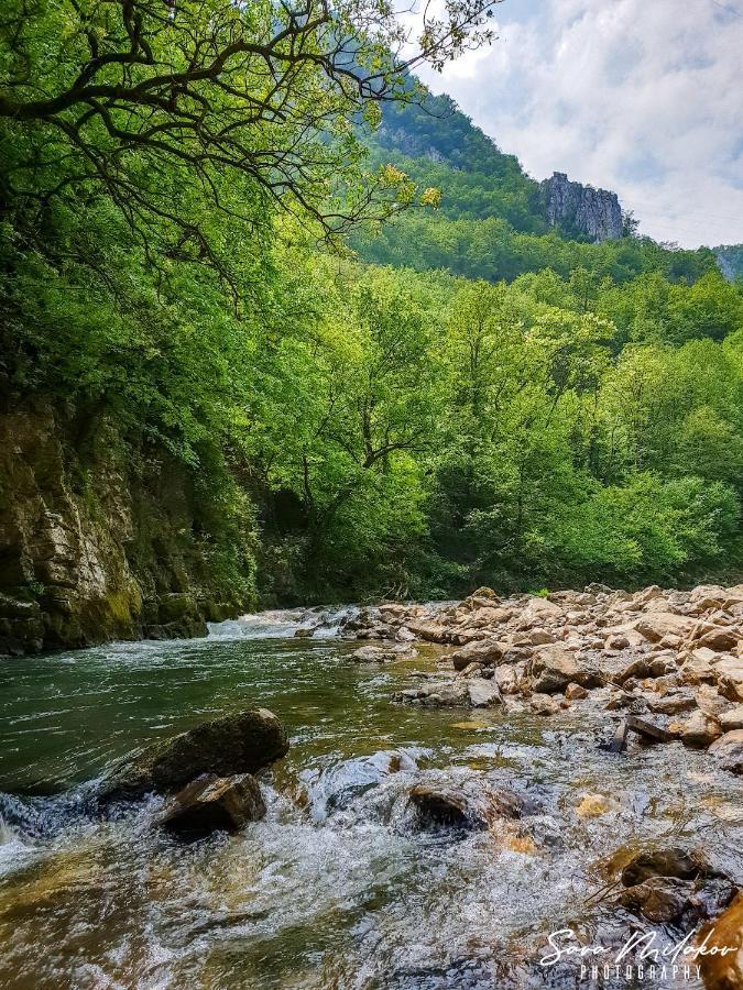 Apartman 65 Zlatibor Kültér fotó